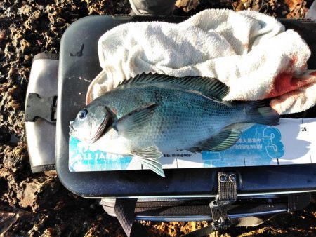 フカセが一番・・面白いです・・