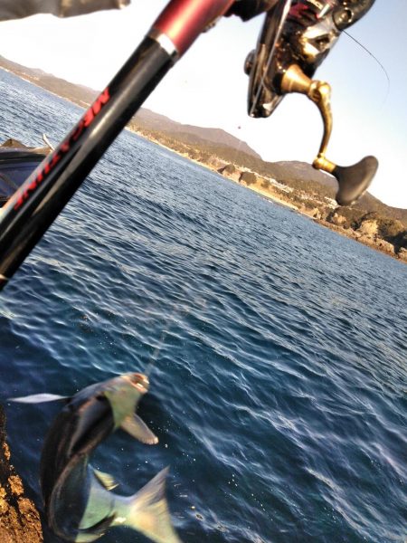 フカセが一番・・面白いです・・