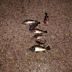 タフコンディション