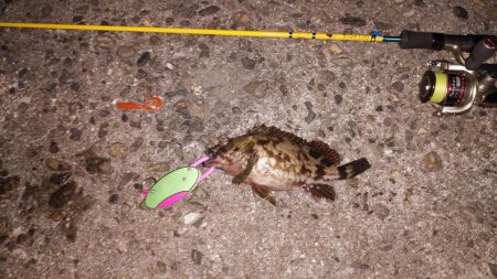 レアタケノコゲットだぜ