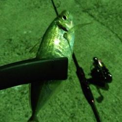 風も無く暖かそうなので