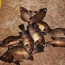 本日も修行なり