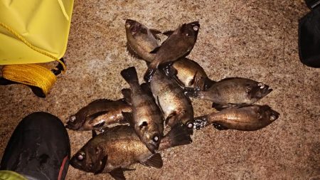 本日も修行なり