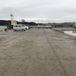 アジ16匹、尺アジ1匹