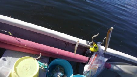 2シーズンぶりの釣果