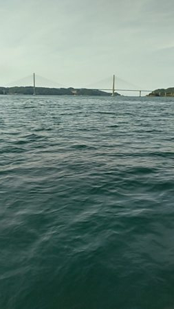 小型和船からのSLJ！ジャックアイグロッキーで鷹島回り探索