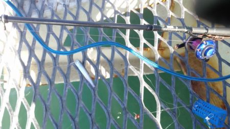 天候が悪く今週はアジも不調　イワシがつれました　下関フィッシングパーク