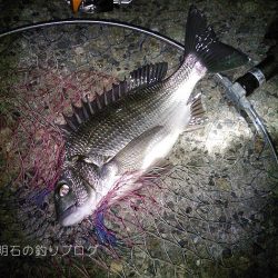 乗っ込みの気配