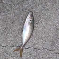 神戸ホームタウン