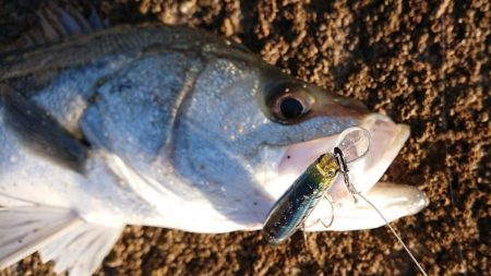 寒～い中、何とか一尾！