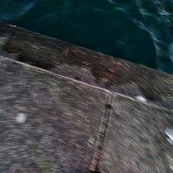 サビキで　小あじ３１匹釣れました！！