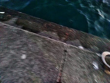 サビキで　小あじ３１匹釣れました！！