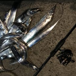 ライズの正体は…