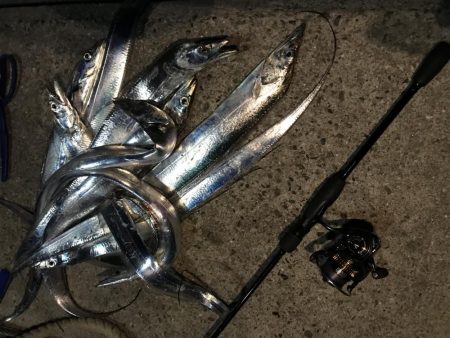 ライズの正体は…