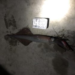 渋くなってきたかもしれません