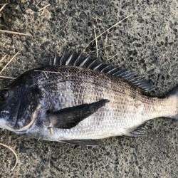 イチノ兄弟、釣果！