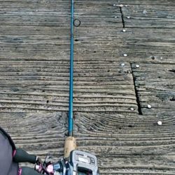 久し振り海洋釣堀でファミリーフィッシング