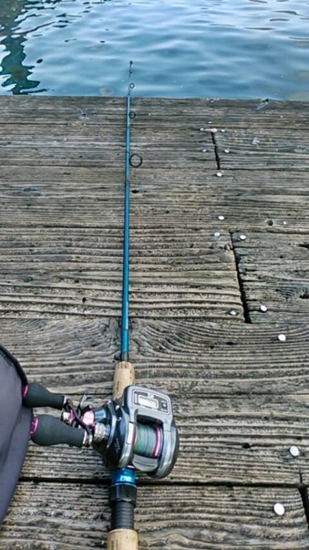 久し振り海洋釣堀でファミリーフィッシング