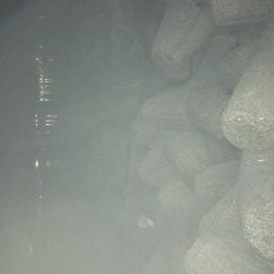 デカアジとブルーバックは何処に?