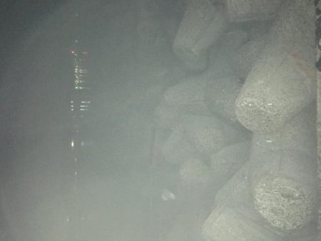 デカアジとブルーバックは何処に?