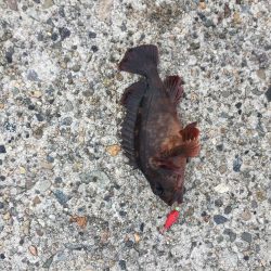 穴たと再会⁉︎