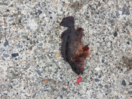 穴たと再会⁉︎