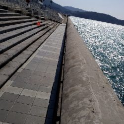 2/23釣果マリーナシティめちゃくちゃデカアジ釣れました！