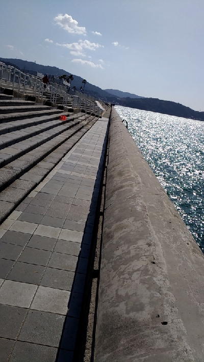 2/23釣果マリーナシティめちゃくちゃデカアジ釣れました！