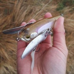 2020年トップウォーターゲーム開幕！