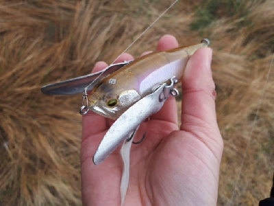 2020年トップウォーターゲーム開幕！