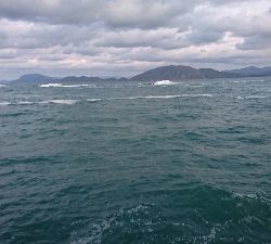 シーバスGETだぜ!