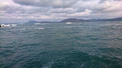 シーバスGETだぜ！