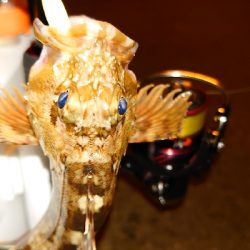 今日もガシリング