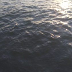 夕日を見ながらエビ撒きフィッシング