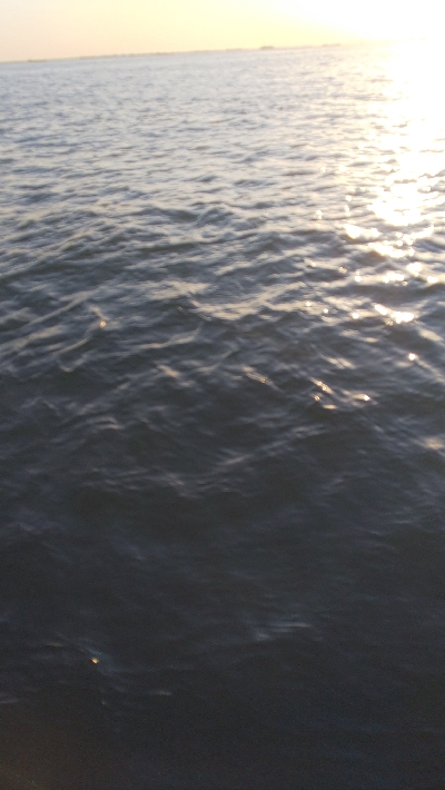 夕日を見ながらエビ撒きフィッシング