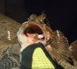 釣れない時期の釣り方