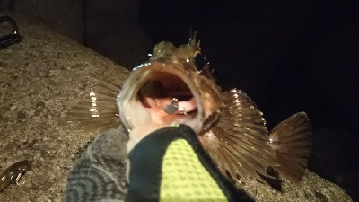 釣れない時期の釣り方