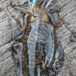 仕事で出張エキング