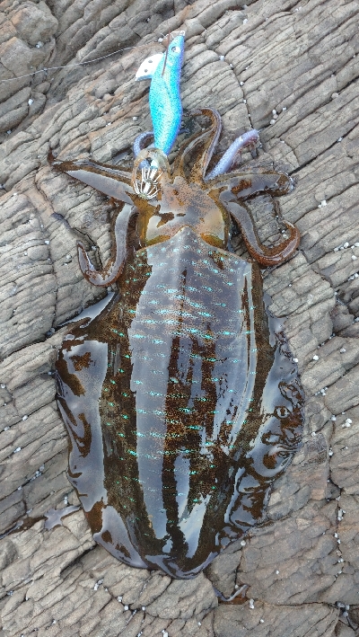 仕事で出張エキング