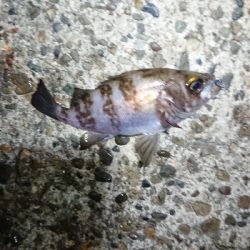 シャローエリアにて