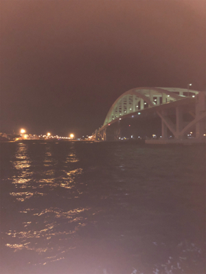 ヒイカエギング