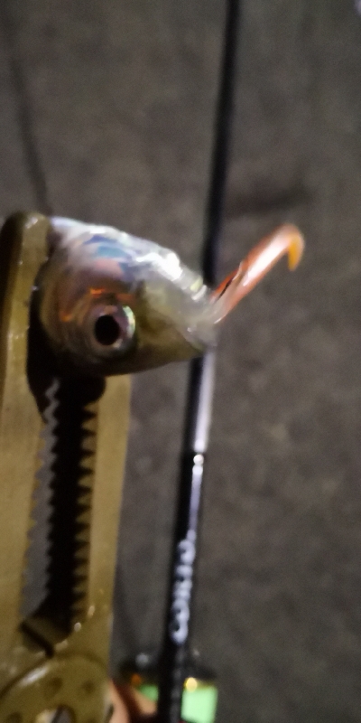 アジング練習 104