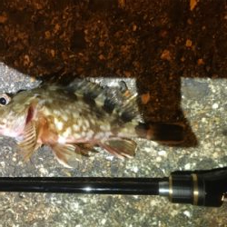 newロッドテスト釣行