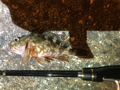 newロッドテスト釣行