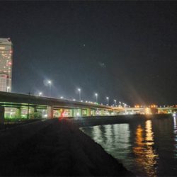 ガシラは裏切らない