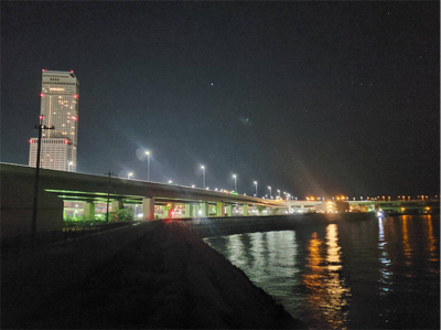 ガシラは裏切らない