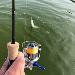 服部緑地 トラウト 月曜日 午前