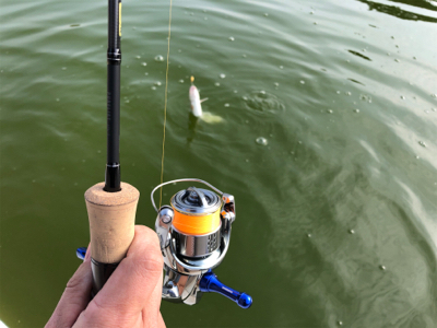 服部緑地 トラウト 月曜日 午前