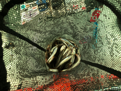 氷上わかさぎ初戦