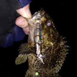 ナイトメバリング